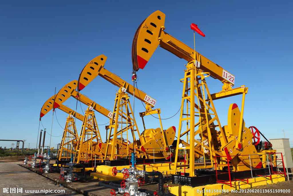 Проводится дистанционная подготовка по следующим направлениям: 